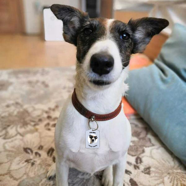 Custom Photo PetTag Tracker Apple Find My