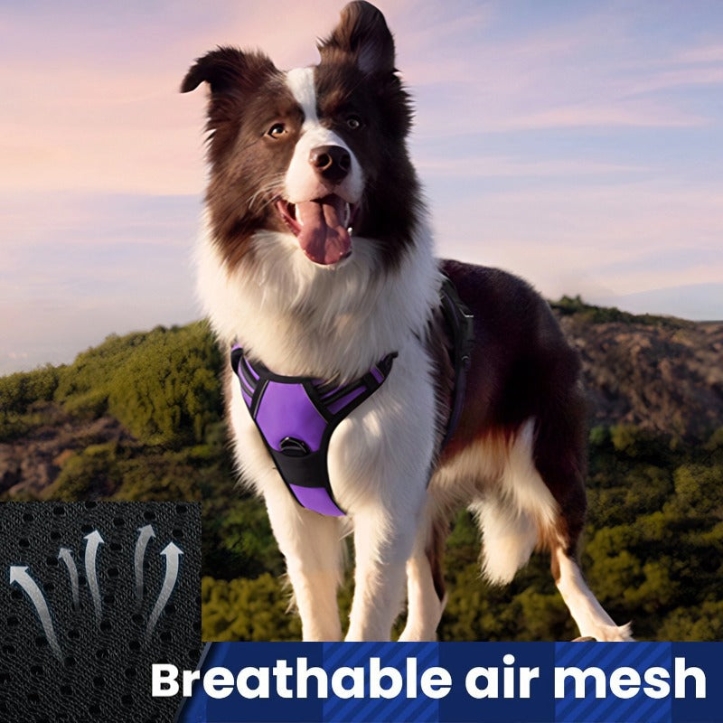 Adjustable Dog Control Harness