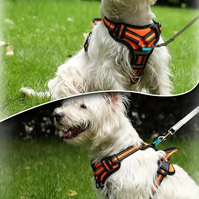 No Pull Dog Control Harness