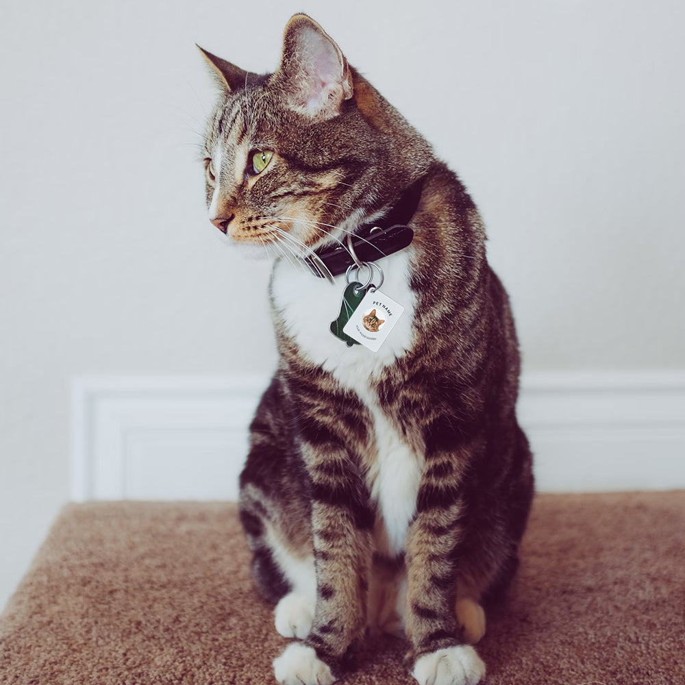 Custom Photo PetTag Apple Find My