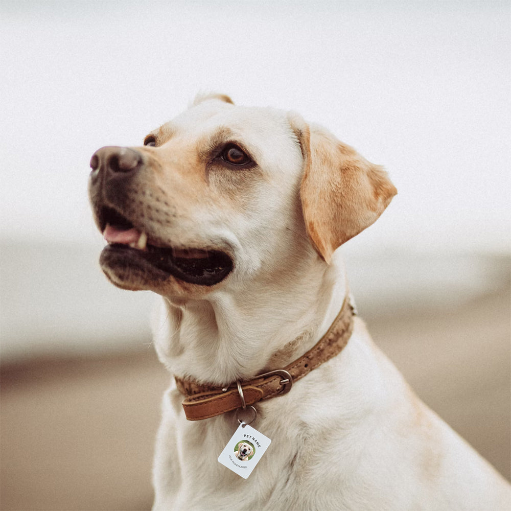 Custom Photo PetTag Apple Find My